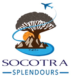 Socotra Splendours